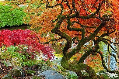 《第一后裔》开发商回应掉落率争议：将更加透明